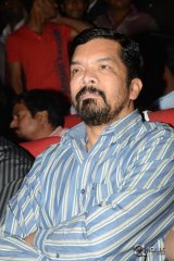 Temper Movie Audio Launch